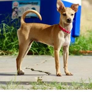 Meet your Posher, Brook